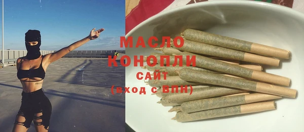 мдпв Пересвет