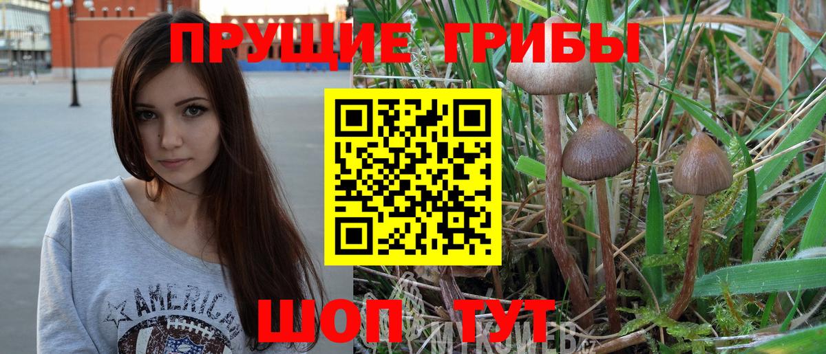 Галлюциногенные грибы мицелий  Ливны 